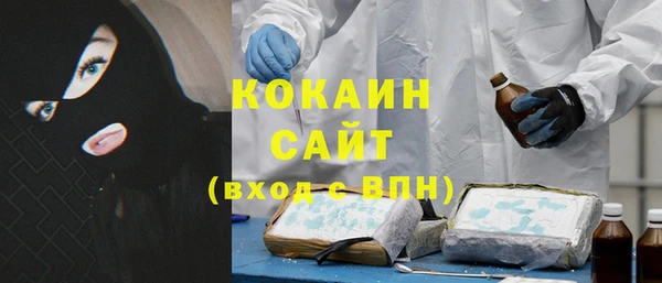не бодяженный Алексин
