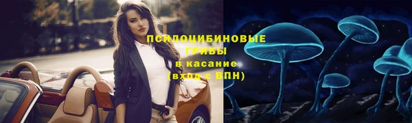 a pvp Алексеевка