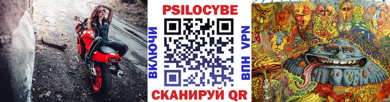 Псилоцибиновые грибы мухоморы Черемхово